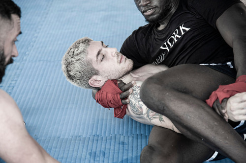 376731866 807966328000939 877908237236273710 n