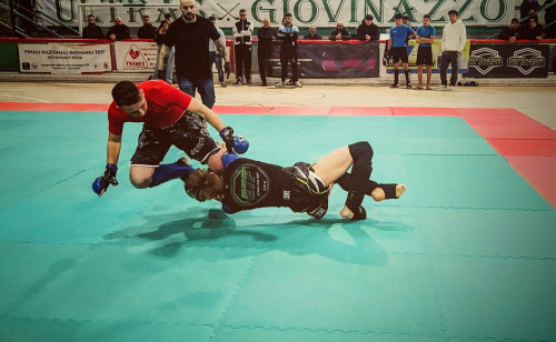 429648122 930881405709430 9073899025085814176 n