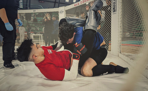 429902474 930885642375673 3827639560662325204 n