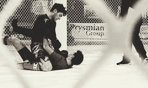 429913650 930887989042105 6027297110978872405 n