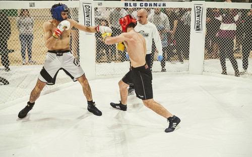 429928098 930889625708608 1541593491564670182 n