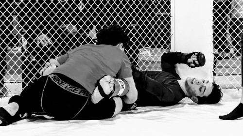 429929124 930886255708945 148331063357272946 n