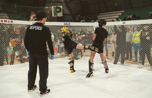 429930678 930889915708579 6242532291187856230 n