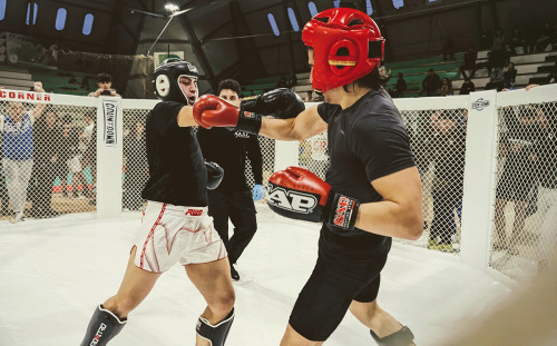 429931029 930891652375072 3453054848164660531 n