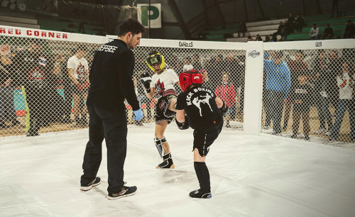 429941076 930891869041717 2151036313550482343 n