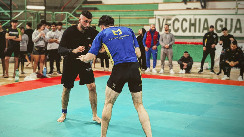 429946357 930893489041555 3209497049476439170 n