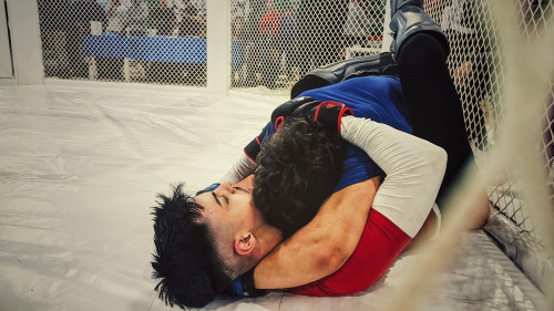 429953320 930887639042140 5919512053499885806 n