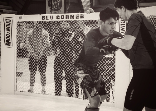 429956529 930888202375417 8795540215964231711 n