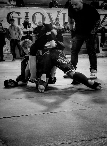 429985495 930881155709455 2862832460070030917 n