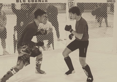 430035248 930879069042997 5605153311410504334 n