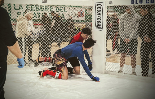 430050207 930887912375446 4158844811424763257 n