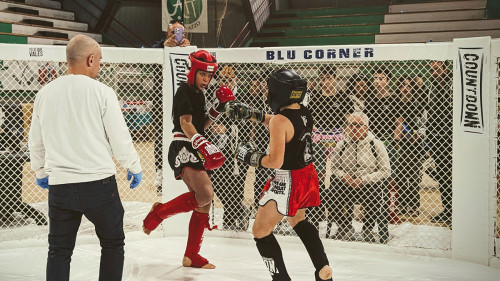 430057507 930894349041469 7905515705537636237 n