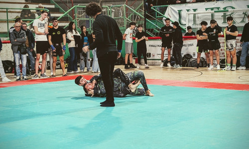 430112877 930890965708474 7906229301846600803 n